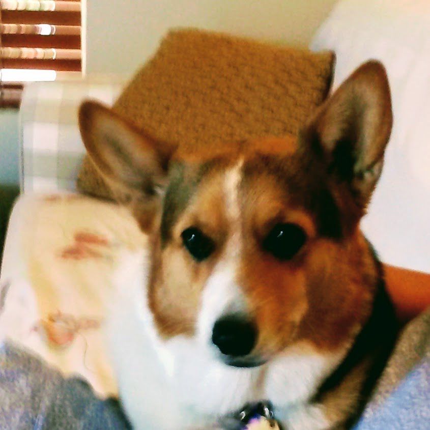 Samantha